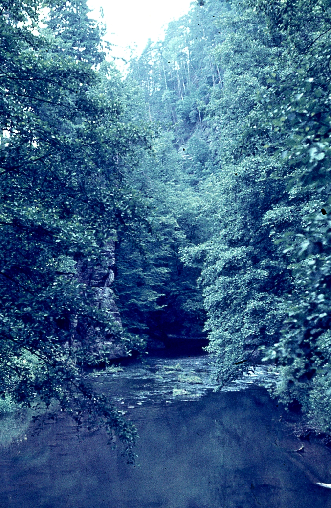 Malý flor. kurs Děčín (13)