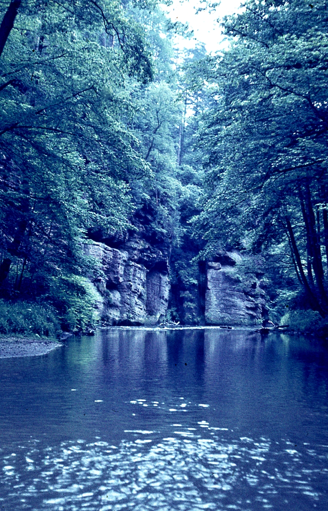 Malý flor. kurs Děčín (14)