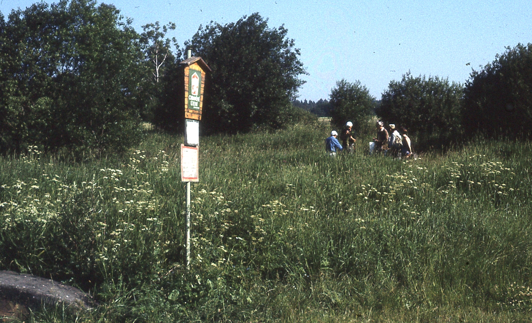 Velký flor.kurs Děčín (09)