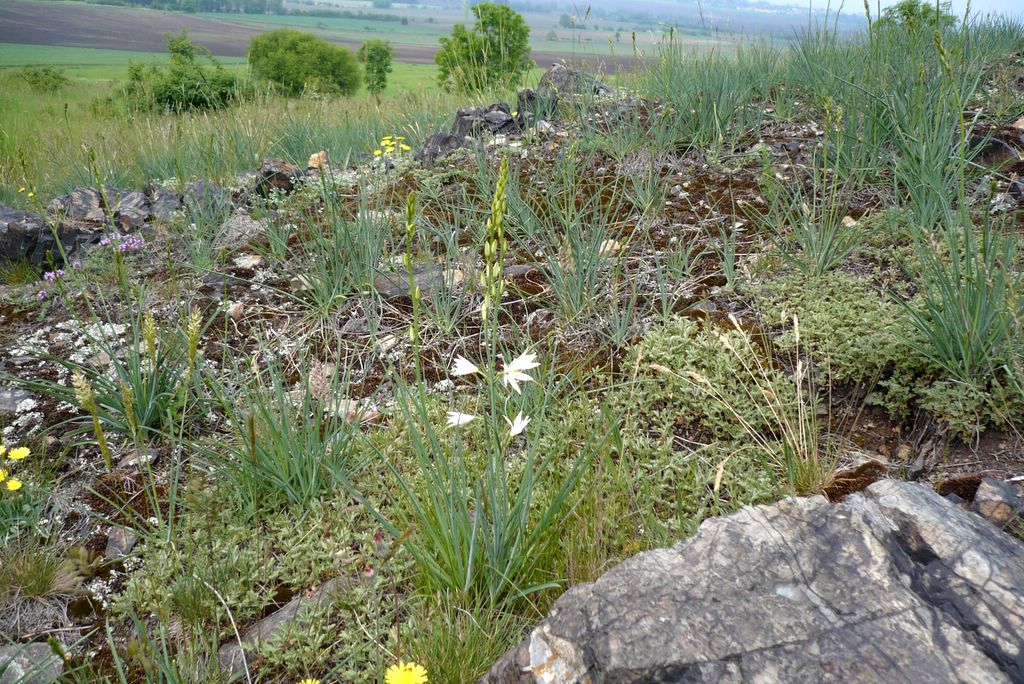 Vodolka 2008 009