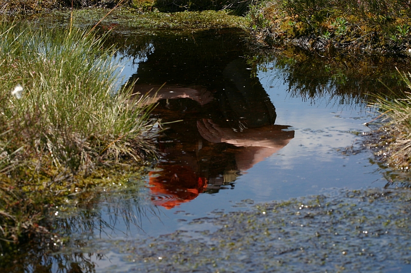 Tajemná čarodějka-IMG_7011